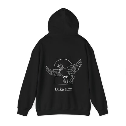 Luke 3:22 Hoodie